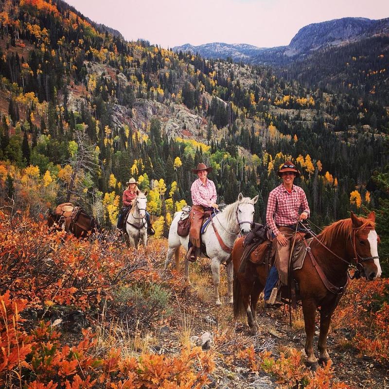 Elk River Guest Ranch | Colorado All-Inclusive Dude Ranch | Ranch ...